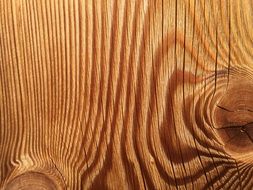 Wood Annual Rings Texture Old