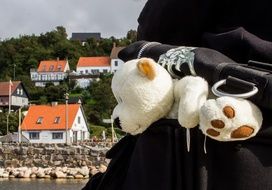 Bear Bears Sea Escape View