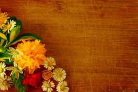 Flower Background Yellow Blossom