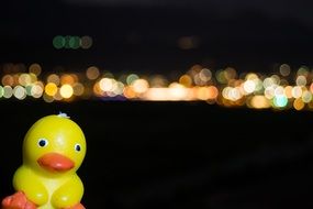 Quitscheente Duck Rubber Duck