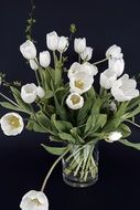 bouquet of white tulips in a glass vase