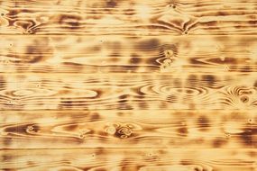 Wood Texture Fire Burn Burning