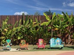 beach furniture under palm trees