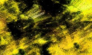 absract black and yellow drawing