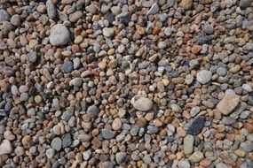 Pebbles Rocks Stone Ocean Beach