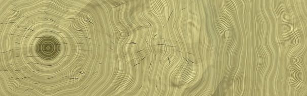 Banner Header Wood Texture