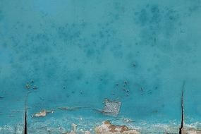 Background Texture Wall Wood