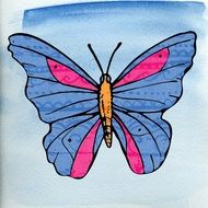 vintage drawing of a butterfly