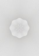 watermark on white banknote