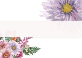 white background with drawings of flowers