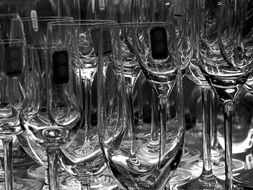 champagne glasses in black and white