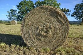 Hay Roller Nature Texture Dry