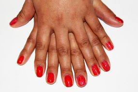 Artistic Nails Fashion Sets