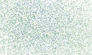 Background Decor Green
