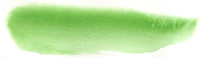Watercolour Green Brushstroke
