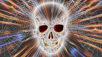 Skull And Crossbones Network