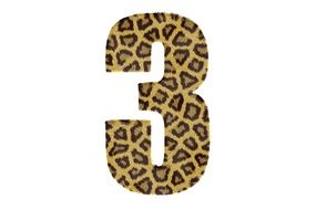 Three Number Pattern Texture