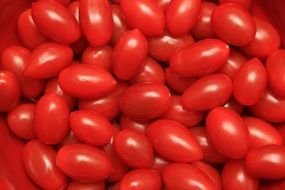 bowl of red ripe tomatoes
