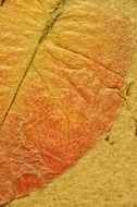 Map Parchment Ancient Background