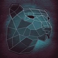 Tiger Head Background Structure