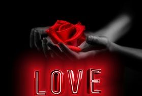 red rose in hand and an inscription love