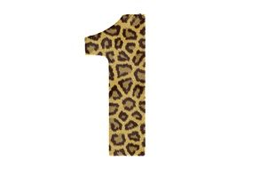 One Number Pattern Texture