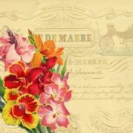 bouquet of flowers on the background of old paper