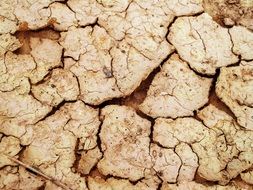 cracked soil as background