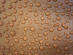 wet brown surface
