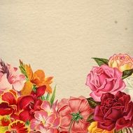 flowers on old paper background