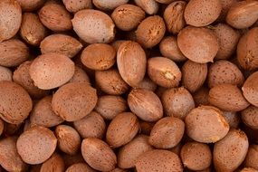 Almonds Background Frisch