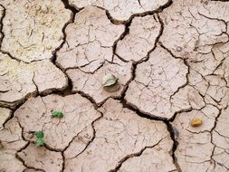 Clouseup picture of cracks on the ground in dry weather