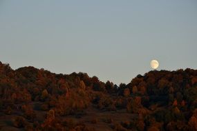 Autumn Moon Hills Halloween
