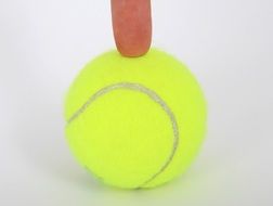 isolated tennis ball