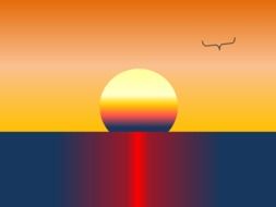 Sunset Sun Sunset Background