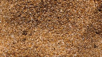 Sand Grains Of Sand Sand Beach