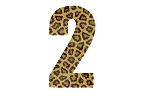 Two Number Pattern Texture