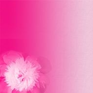 pale pink background with a flower