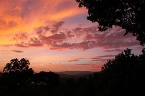 Sunset Pink Purple Background