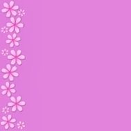 pink background with a stripe of flowers