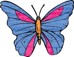 Blue butterfly with pink spots