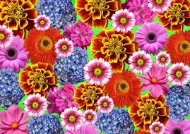 background with different varieties of flowers