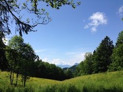 Landscape Nature Idyllic Spring