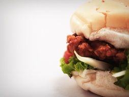 hamburger on white background