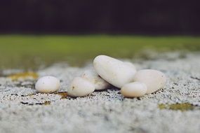 Stones Pebble Moss Nature