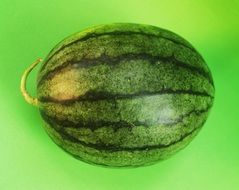 sweet watermelon on the green background