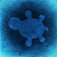 silhouette of a turtle on the blue background