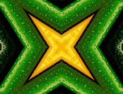 X Cross Background Design Green