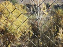 Fence Geometry Background Wire