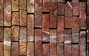 Wood Wood Logs Wooden Background